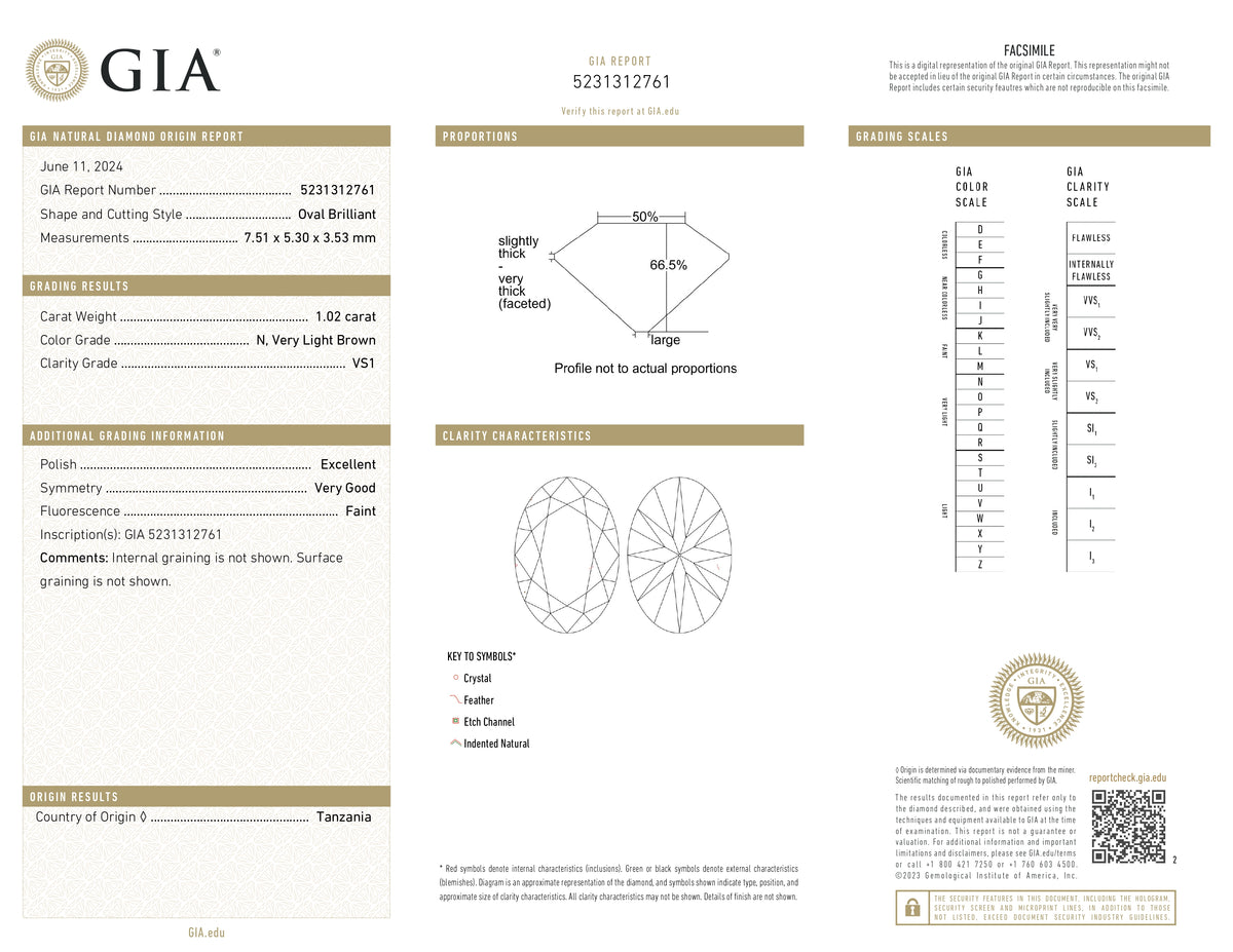 1.02ct | N/VS1 Oval Shape Old Mine Cut Diamond (GIA) - Modern Rustic Diamond