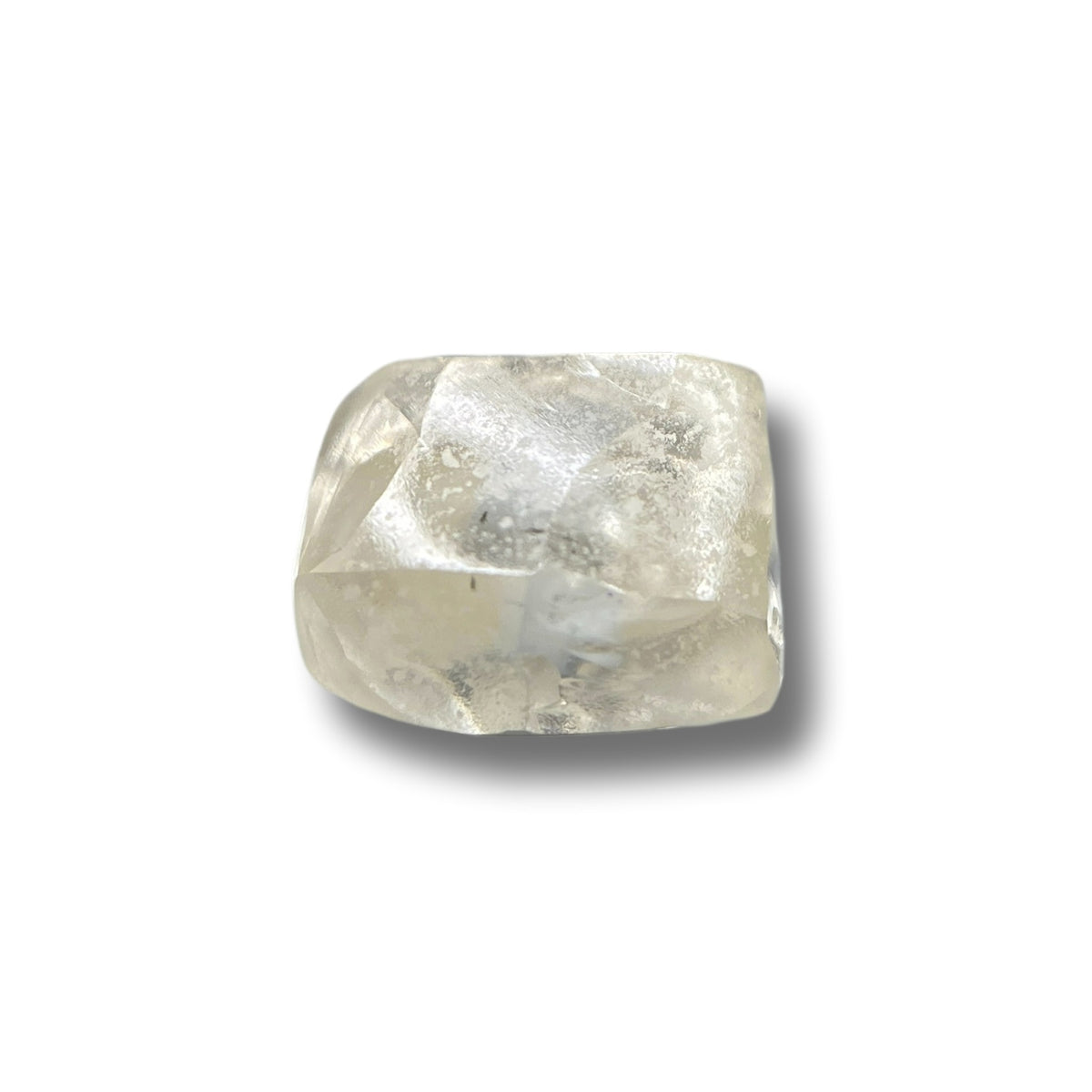 1.01ct | Light Color VS-SI Octagonal Shape Step Cut Diamond - Modern Rustic Diamond