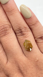 1.29ct | Salt & Pepper Hexagon Shape Rose Cut Diamond - Modern Rustic Diamond