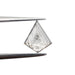 0.69ct | Salt & Pepper Rose Cut Kite Shape Diamond-Modern Rustic Diamond