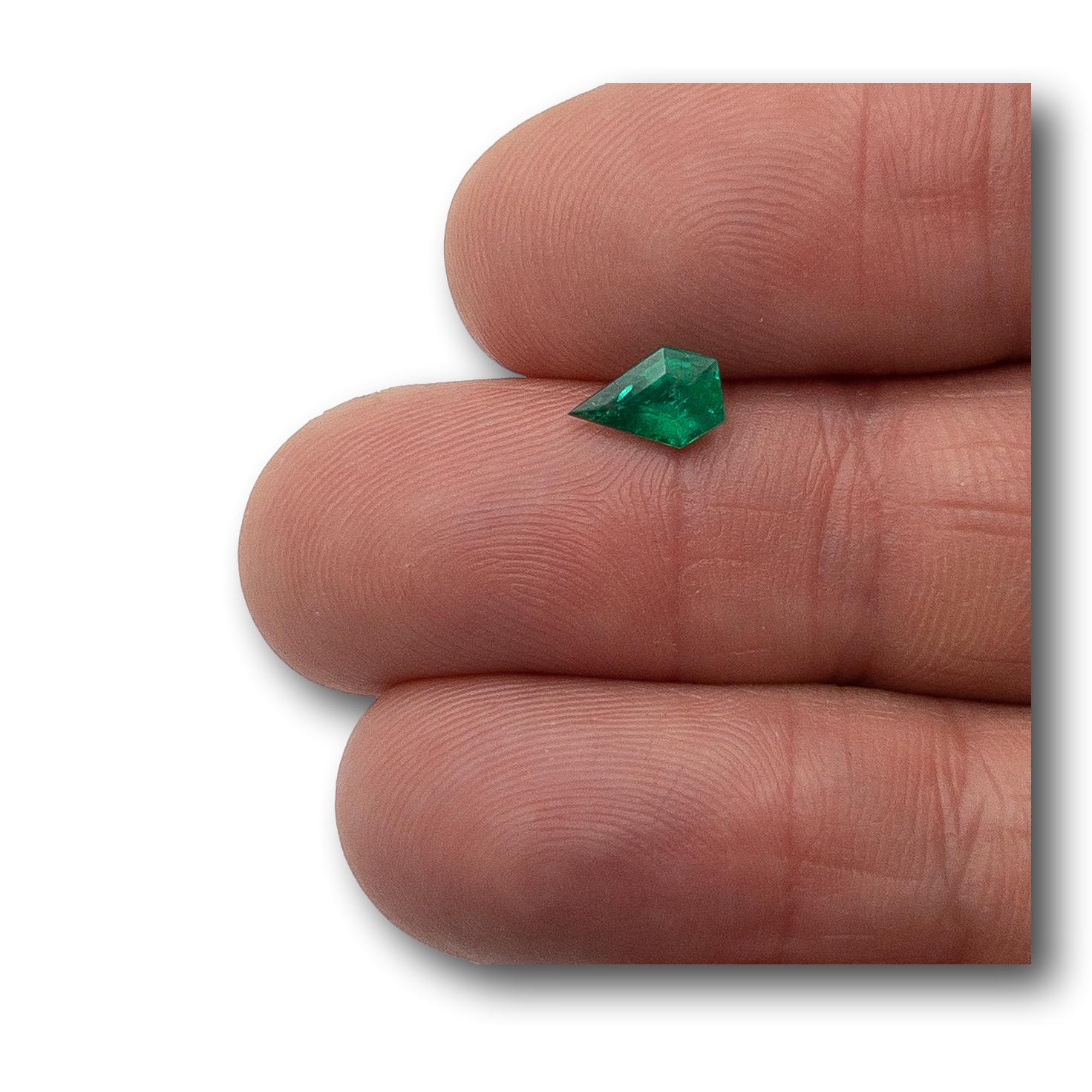 0.56ct | Step Cut Shield Shape Muzo Origin Emerald